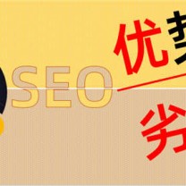 小K娱乐网推荐的SEO优化基础：SEO的优势与劣势