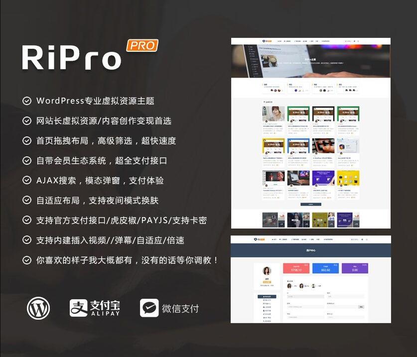 RIPro主题 5.6 WordPress模板日主题虚拟资源素材
